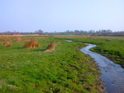 Fr�hlingsfoto